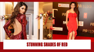 Rose-Red To Wine Red: Urvashi Rautela Burns The Vogue Game In Any Shade Of Red