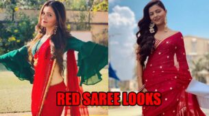 Rubina Dilaik Stabs Heart In Red Sarees: Best Looks To Fall In Love