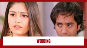 Saath Nibhaana Saathiya 2 Spoiler Alert: Desai family plans Tia-Sagar wedding