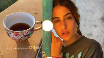 Sara Ali Khan reveals the three most favorite things in her life, can you guess what?