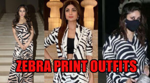 Sara Ali Khan VS Shilpa Shetty Vs Kareena Kapoor: Divas Who Slew In Zebra Prints