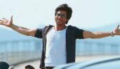 Shah Rukh Khan’s Badass Reply to Fan Asking Him If He Is ‘Unemployed’ Goes Viral, See What He Said