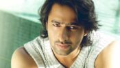 Revealed: This is what Shaheer Sheikh is doing in the hills, deets inside