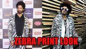 Shahid Kapoor Vs Ranveer Singh: Which Stunner Looked Fierce In Zebra Print?