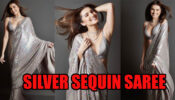 Shine In Silver: Tara Sutaria Looks Scintillating Head To Toe In Silver Sequin Saree