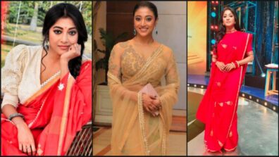 Simple Cotton To Extraordinary Silk: Paoli Dam Has Sarees For All Occasions