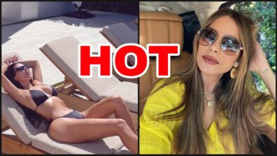 Sofia Vergara & Kim Kardashian burn the oomph game with their hot photos, fans go bananas