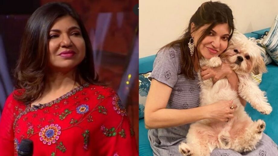 Soulful Playlist: Listen To These Songs Of Alka Yagnik On Your Way To Work 411066