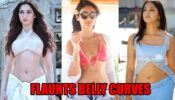 Tamannaah Bhatia Vs Ileana D’Cruz Vs Anushka Shetty: Which Hot South Actress Flaunts Her Fit Belly Curves And Navel With Perfection? Vote Right Now