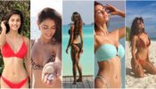Then Vs Now: The Rise And Rise Of Disha Patani’s Bikini Collection