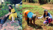 TMKOC divas Munmun Dutta & Palak Sindhwani spotted ‘farming’, fans love it