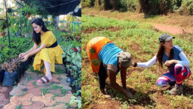 TMKOC divas Munmun Dutta & Palak Sindhwani spotted ‘farming’, fans love it