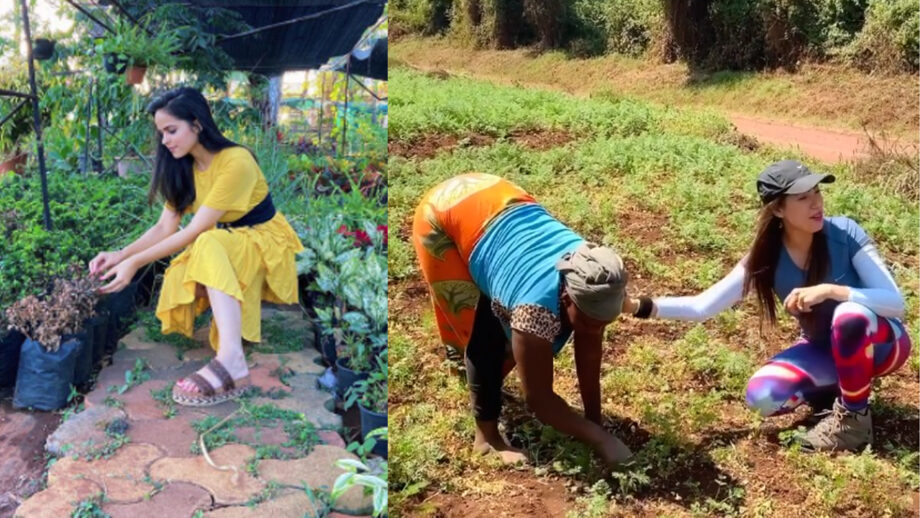 TMKOC divas Munmun Dutta & Palak Sindhwani spotted 'farming', fans love it 402611