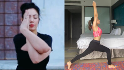 TMKOC: Munmun Dutta & Palak Sindhwani burn the oomph game with their yoga poses, fans feel the heat