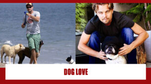 True Love Spotted: Leonardo DiCaprio Pictures With Dogs Are The Perfect Example Of Love