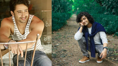 TV Serials You Don’t Know Starred Sumedh Mudgalkar & Shaheer Sheikh