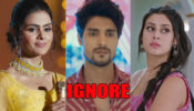 Udaariyaan Spoiler Alert: Tejo and Fateh celebrate their friendship; ignore Jasmine