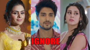 Udaariyaan Spoiler Alert: Tejo and Fateh celebrate their friendship; ignore Jasmine