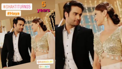 Vivian Dsena celebrates 5 years of Shakti Astitva Ke Ehsaas Ki, shares pictures with Rubina Dilaik