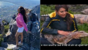 Watch Now: Anushka Sen chills at Cape Town, Divyanka Tripathi’s daredevil act with a crocodile gets Shweta Tiwari excited