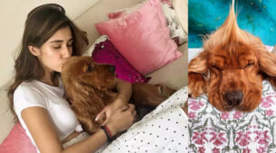 Watch Now: Disha Patani shares pawsome moment with dog, fans melt in awe