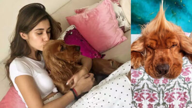 Watch Now: Disha Patani shares pawsome moment with dog, fans melt in awe
