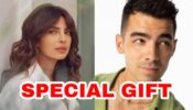 What did Priyanka Chopra Jonas receive from brother-in-law Joe Jonas as a special gift?