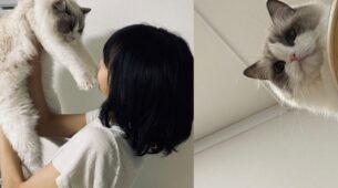 When Blackpink Lisa Proved That All You Need Is Love & Cats In Pictures With Her Cute Cats