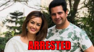 Yeh Rishta Kya Kehlata Hai actor Karan Mehra arrested after wife  Nisha Rawal filed complaint