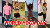 Yoga Day Special: Kareena Kapoor, Sara Ali Khan, Madhuri Dixit & Rakul Preet flaunt their flexibility, fans impressed