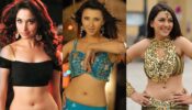 Tamannaah Bhatia Vs Sakshi Sivanand Vs Hansika Motwani: Who Has The Hottest Belly Curves & Navel? Vote Now