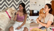 Ananya Panday & Rashmika Mandanna’s awesome ‘pawsome’ moments that will make you go aww