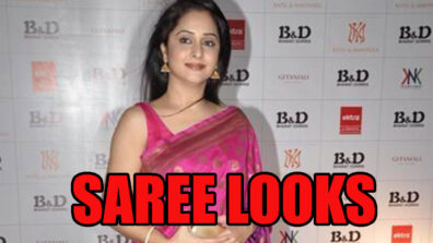 Are You A Saree Lover? Take Tips From Mrinal Kulkarni To Drape Your Dazzling Saree Perfectly!