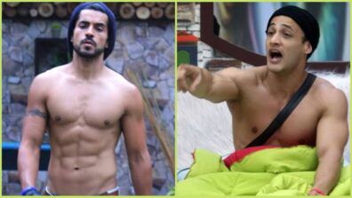 Asim Riaz to Gautam Gulati: 5 Bigg Boss stars who yelled in the show, check out