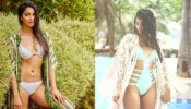 Pooja Hegde’s Hottest Bikini Photos That Made Us Feel The Heat