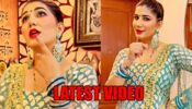 Aww Cutie: Sapna Choudhary’s Latest Video On Bangro In Patiala Suit And Netted Dupatta Will Make Your Day