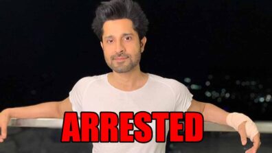 Big News: Kasautii Zindagii Kay actor Pracheen Chauhan arrested under molestation charges