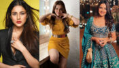 Bigg Boss Hotties: Shehnaaz Gill, Rubina Dilaik & Jasmin Bhasin’s ‘oh so hot’ moments that made us go bananas