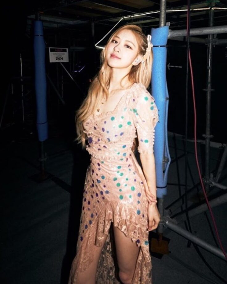 Bookmark Blackpink Rose’s Printed Dresses For A Showstopping Ingress - 4