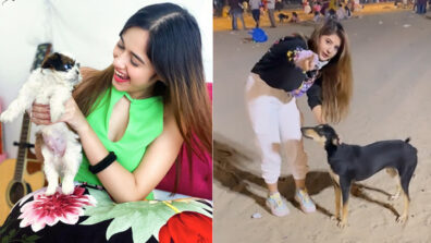 Cute Moment: Jannat Zubair Rahmani & Arishfa Khan’s ‘pet romance’ grabs attention