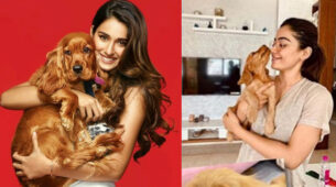 Disha Patani, Rashmika Mandanna & their ‘awesome pawsome’ moments will make you crush on these beauties