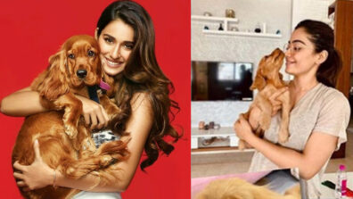 Disha Patani, Rashmika Mandanna & their ‘awesome pawsome’ moments will make you crush on these beauties