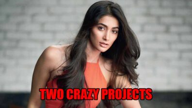 Exclusive: Omg! Two Crazy Projects Will Cost 5 Million To Pooja Hegde For Each Film