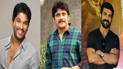 From Allu Arjun to Nagarjuna Akkineni & Ram Charan: South Celebs Who Made Headlines for Controversial Reasons