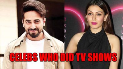 From Ayushmann Khurrana To Hansika Motwani: 5 Celebs Who Did TV Shows Earlier