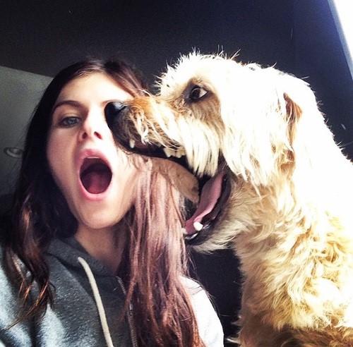 Top 5 Oops Moments Of Alexandra Daddario - 2