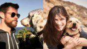 From Chris Hemsworth To Alexandra Daddario:5+ Hollywood Celebs Who Are Pet Parents