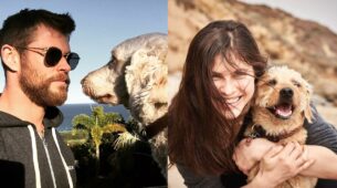 From Chris Hemsworth To Alexandra Daddario:5+ Hollywood Celebs Who Are Pet Parents