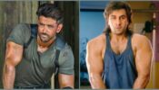 From Hrithik Roshan To Ranbir Kapoor: Stars & Their Big Box Office BLOCKBUSTERS, Deets Inside