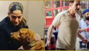 From Sonam Kapoor to Akshay Kumar: Find Out How These B-Town Celebs are Prepping for their upcoming movies?
